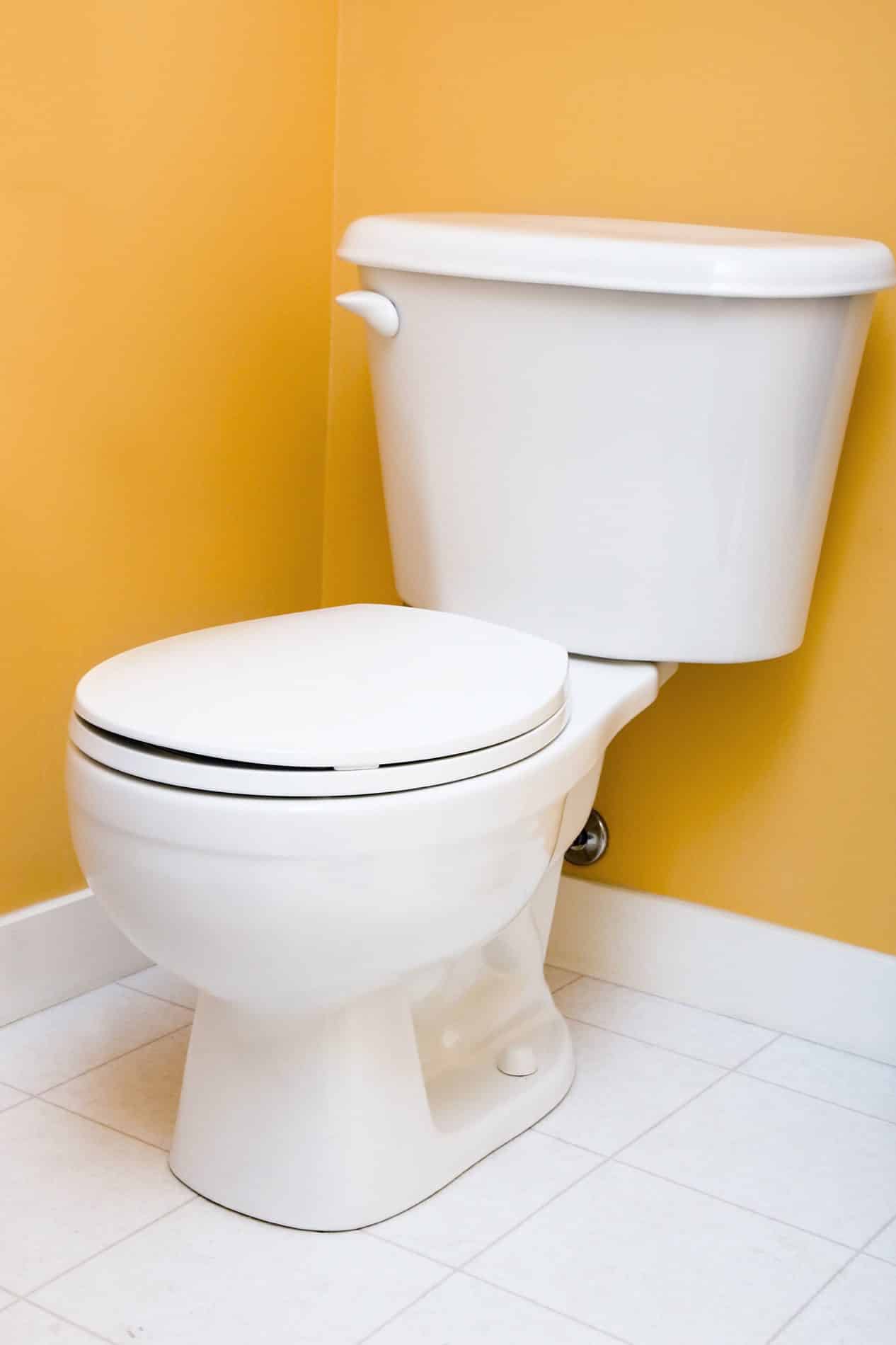Kansas City Toilet Repair